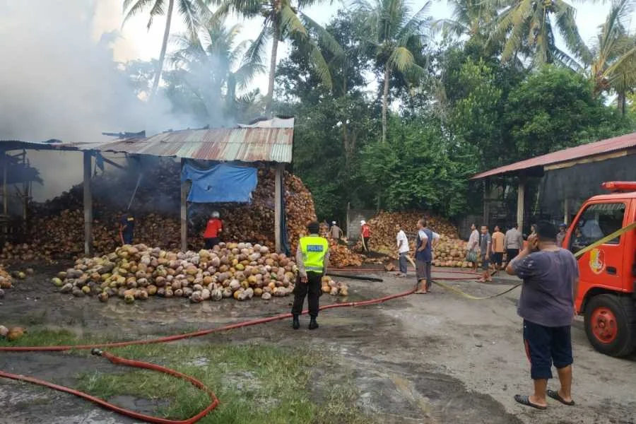 Gudang Pengolahan Sabut Kelapa di Banyuwangi Hangus Akibat Puntung Rokok