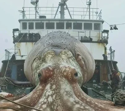 Gurita Raksasa 19 Meter Ternyata Menguasai Laut pada Era Kapur