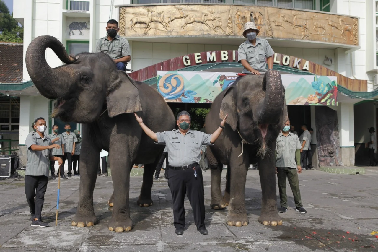 Keanekaragaman Satwa yang Bisa Dipelajari