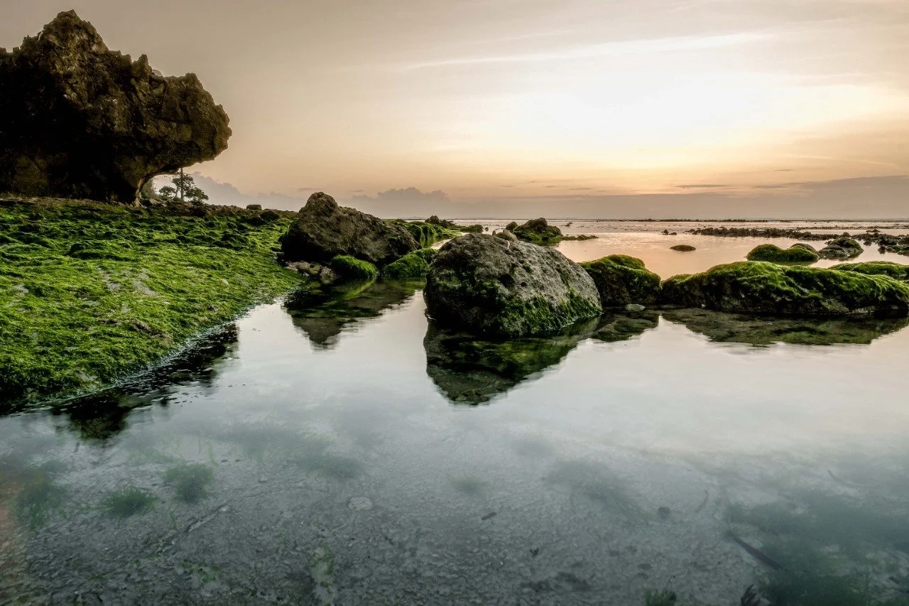 Keindahan G-Land Banyuwangi: Mengapa Anda Harus Mengunjunginya