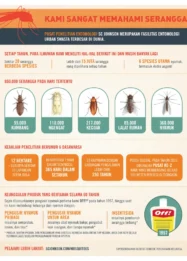 Memahami Serangga di G-Land