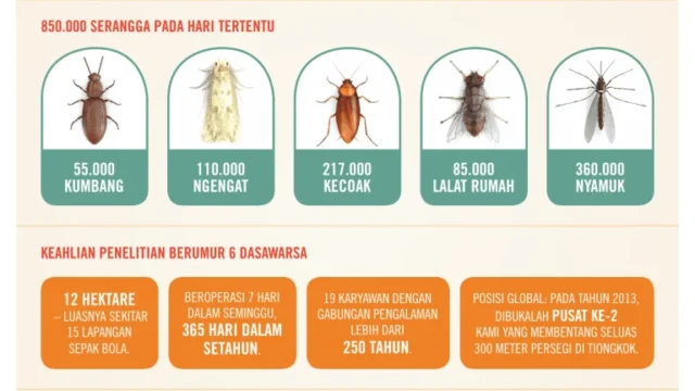 Memahami Serangga di G-Land