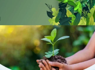 Peraturan Konservasi G-Land dan Lingkungan