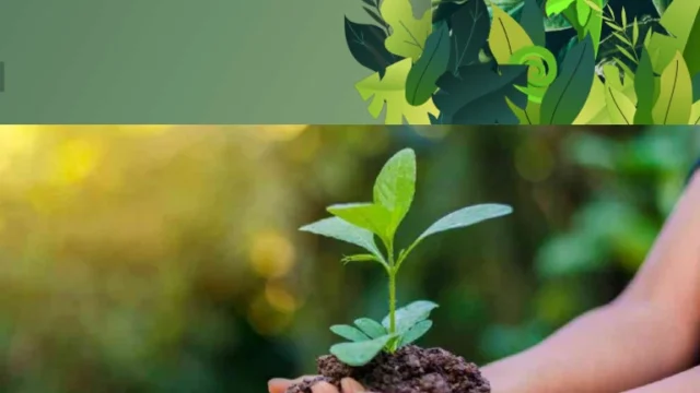 Peraturan Konservasi G-Land dan Lingkungan