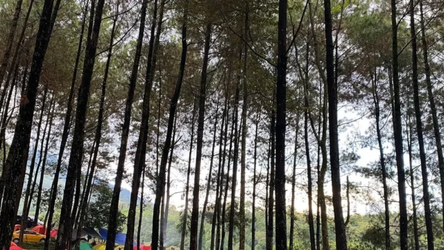 Spot camping gratis di sekitar G‑Land: Pilihan Terbaik