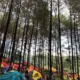 Spot camping gratis di sekitar G‑Land: Pilihan Terbaik