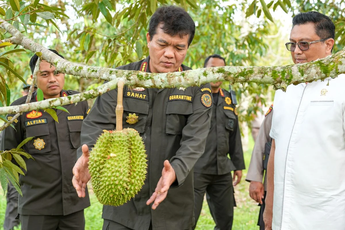 Strategi Durian Indonesia Buka Pasar China Senilai Rp137 Triliun