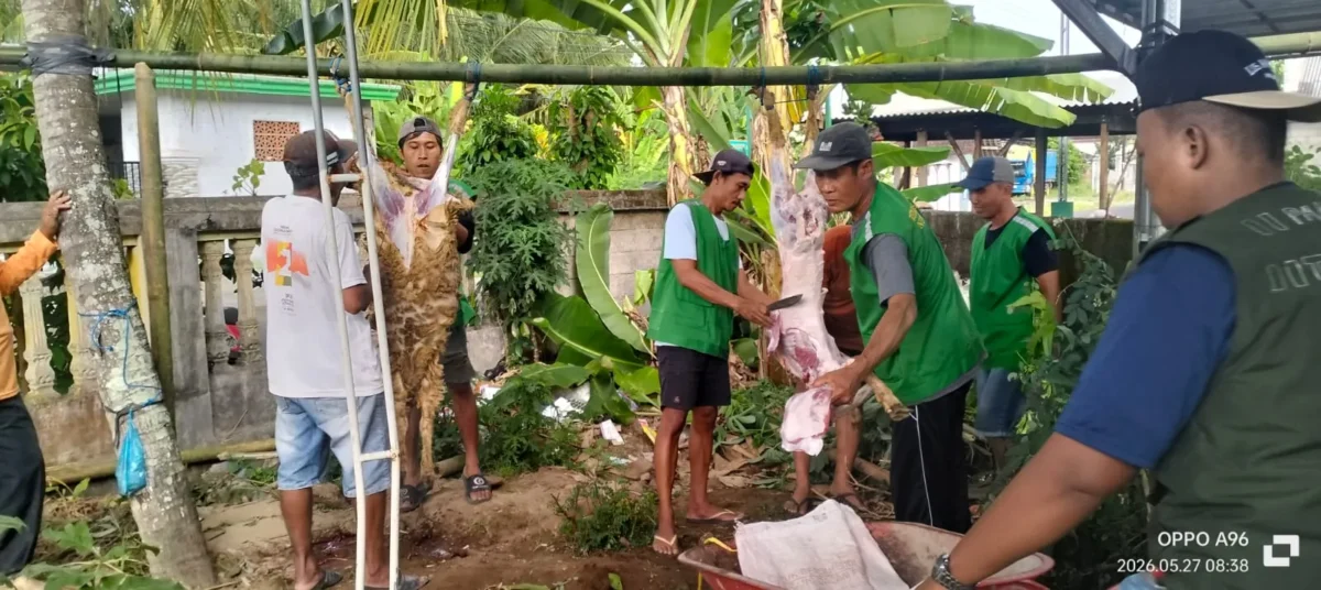 Masjid Nurul Ikhsan Krajan Tapanrejo Bagikan Daging Kurban