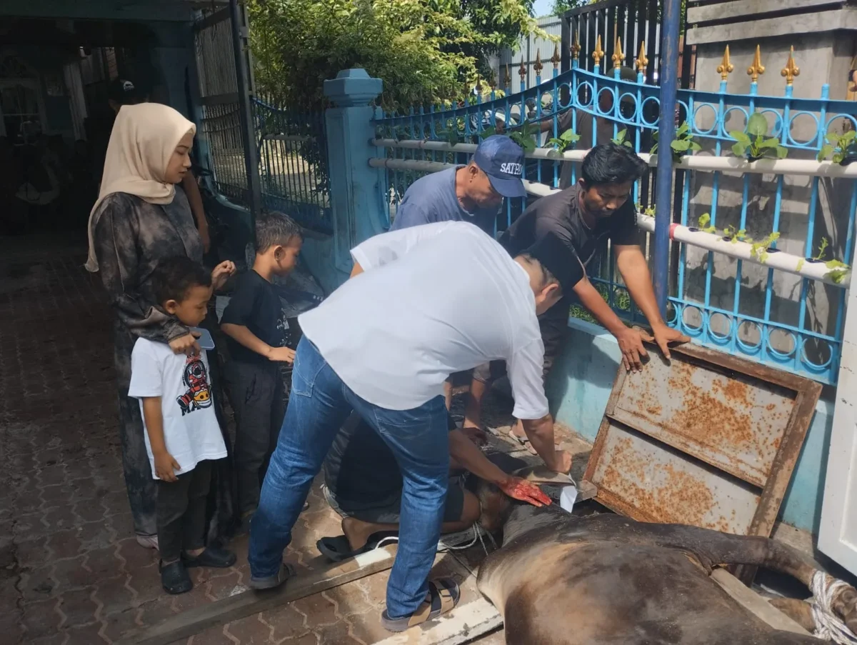 Rel MBG Sumut Sembelih Hewan Kurban di Dapur SPPG Sidorejo
