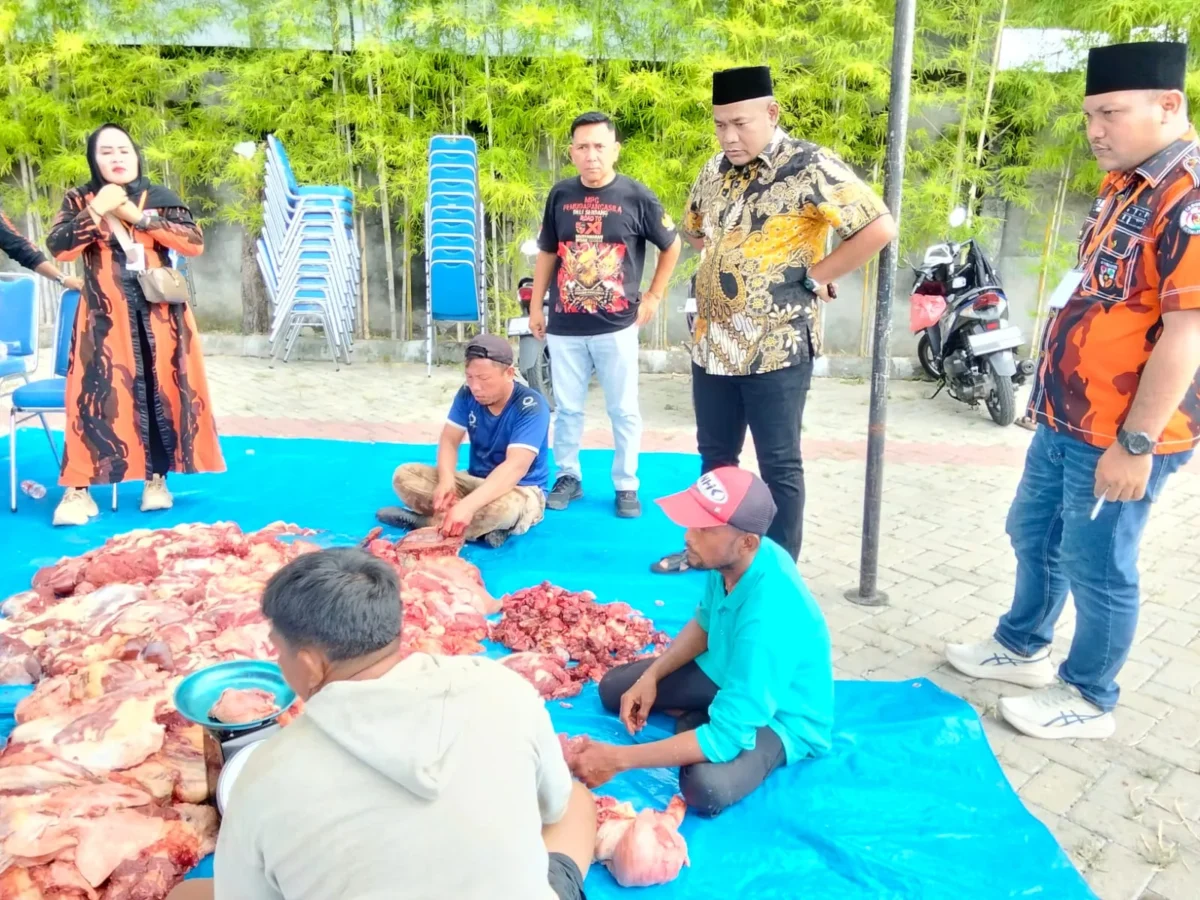 MPC Pemuda Pancasila Deli Serdang Sembelih 9 Ekor Sapi Kurban