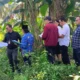 Sidang lapangan perkara sengketa lahan PN Banyuwangi