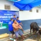 Lapas Banyuwangi Sembelih 12 Hewan Kurban