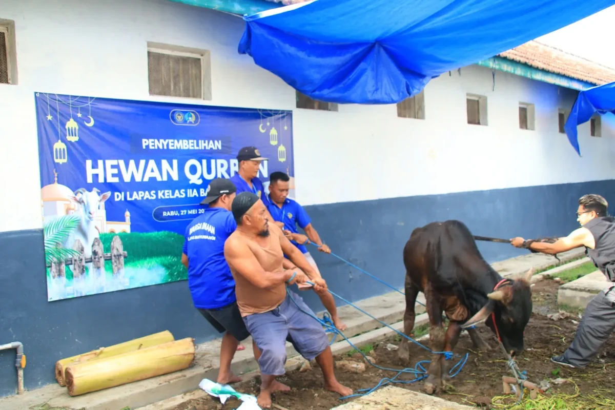 Lapas Banyuwangi Sembelih 12 Hewan Kurban