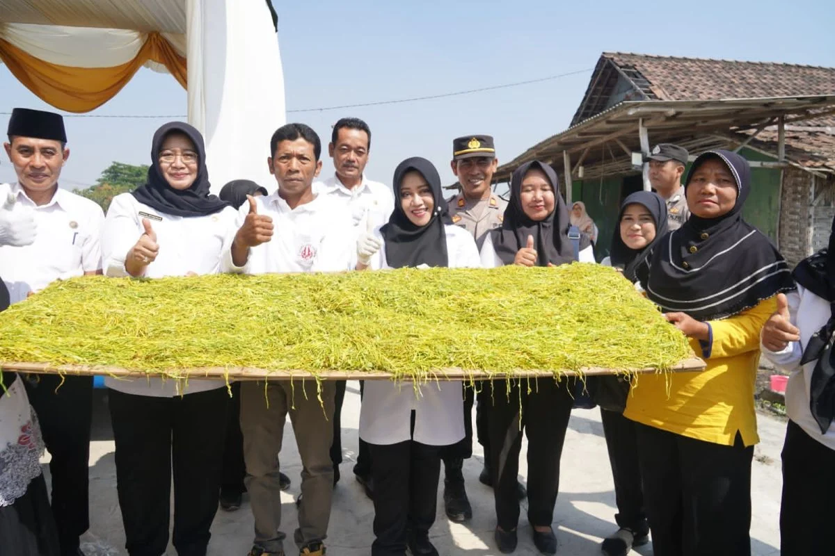 Bondowoso Siapkan Kebijakan untuk Jaga Kualitas Tembakau