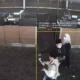 CCTV Kota Bogor: Satreskrim Bandara Soekarno-Hatta Tangkap Oknum Petugas Kargo