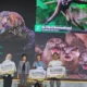 IAPVC 2026: Edukasi dan Promosi Konservasi Satwa di Indonesia