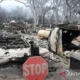Kebakaran Hutan Mengancam Simi Valley, 17.000 Warga Dievakuasi