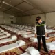 Kemenhaj Larang Pemasangan Identitas KBIHU di Tenda Arafah dan Mina