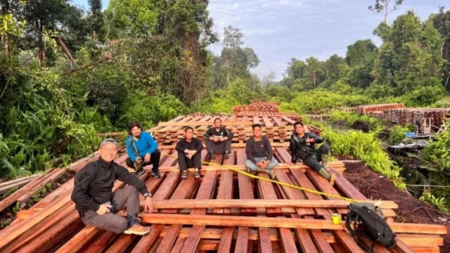 Kemenhut Investigasi Peredaran Kayu Ilegal dari Taman Nasional Bukit Tiga Puluh