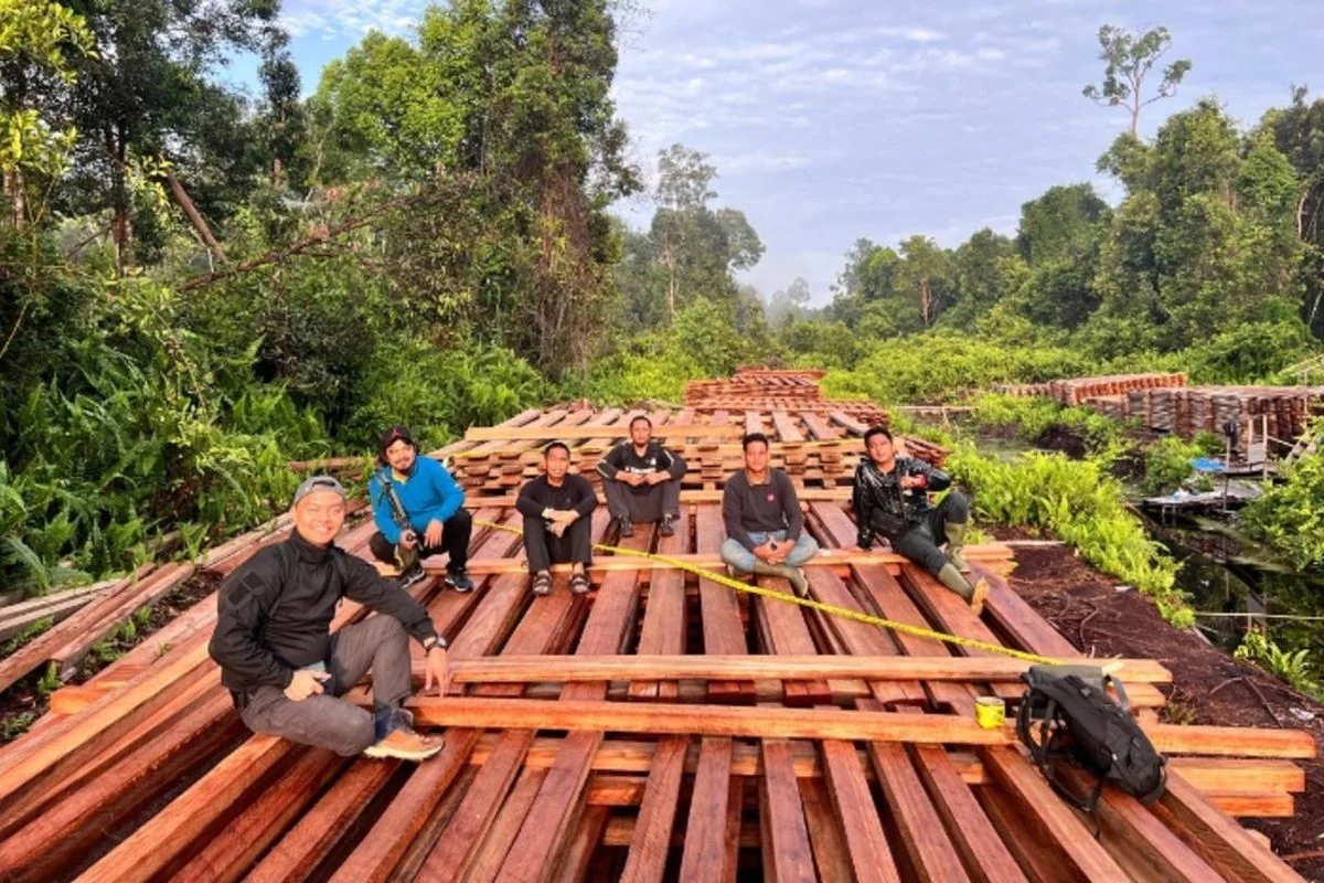 Kemenhut Investigasi Peredaran Kayu Ilegal dari Taman Nasional Bukit Tiga Puluh