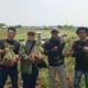 Kementan Tingkatkan Pengawasan Pasokan Bawang Merah Menjelang Iduladha