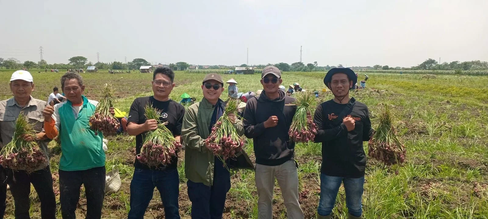 Kementan Tingkatkan Pengawasan Pasokan Bawang Merah Menjelang Iduladha