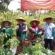 Kepastian Harga Mendorong Dukungan Petani terhadap Program Lingkungan