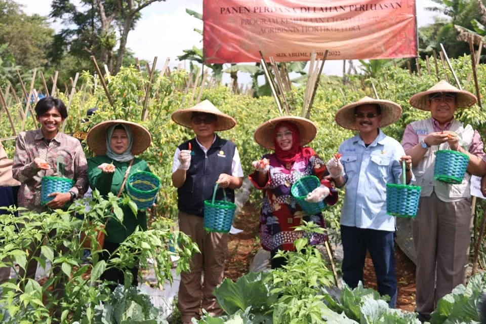Kepastian Harga Mendorong Dukungan Petani terhadap Program Lingkungan