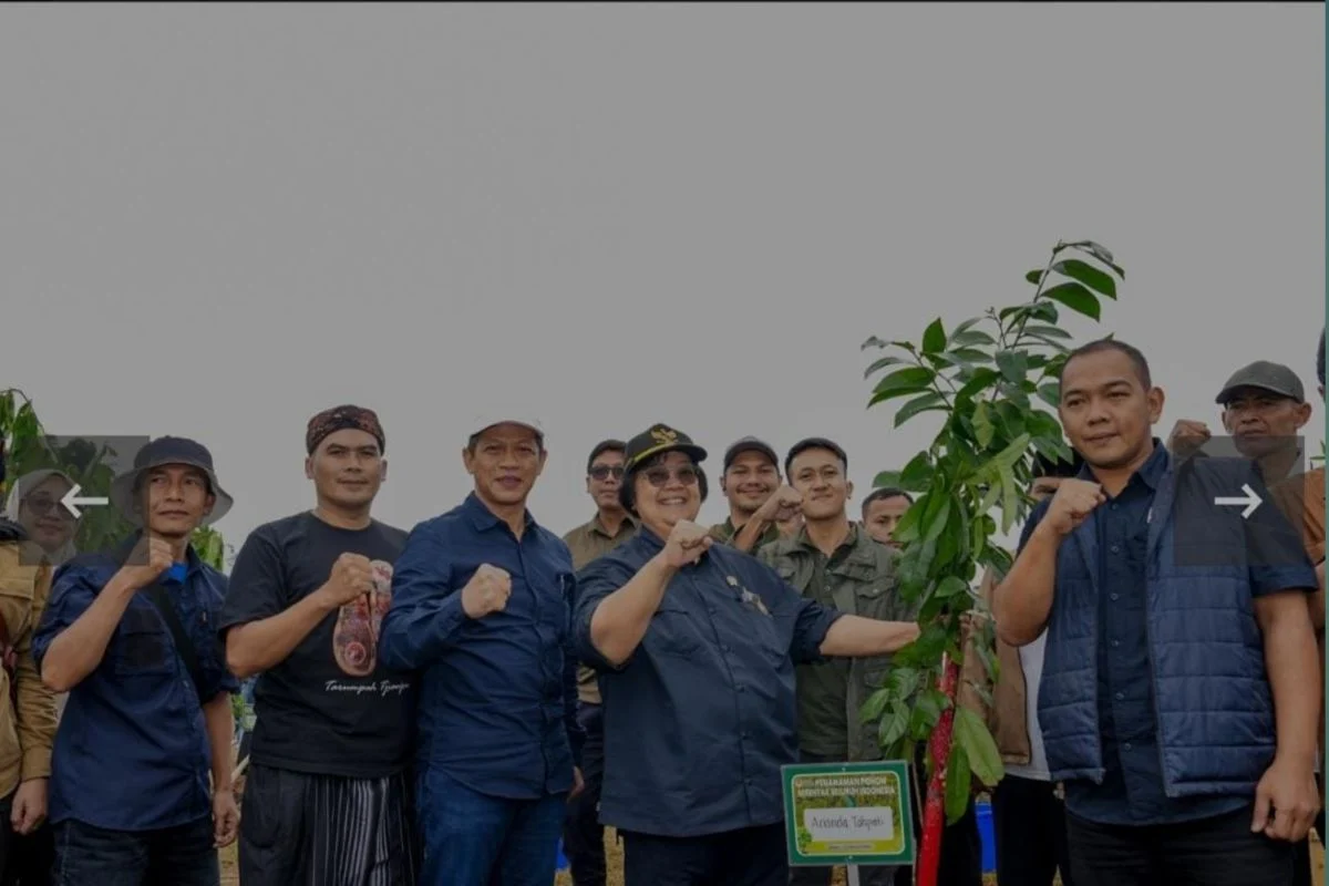 Menteri LH Tanam 1.000 Pohon di Cianjur untuk Hadapi Perubahan Iklim