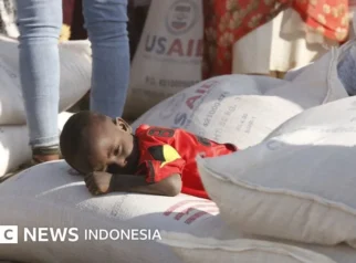 Nigeria Menghadapi Krisis Makanan yang Parah: 35 Juta Orang Risiko Kelaparan