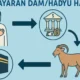 Pembayaran Dam Haji Indonesia Menjadi Sejarah Baru
