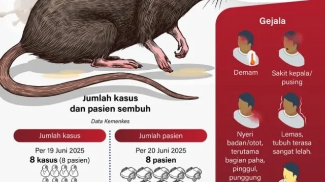 Pencegahan Hantavirus di Banyuwangi: Masyarakat Diminta Waspada