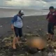 Penemuan Mayat di Pantai Lumajang Menghebohkan Masyarakat