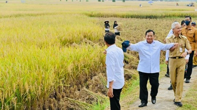 Presiden Prabowo Hadiri Panen Raya Udang di Kebumen untuk Mendorong Ekonomi Masyarakat