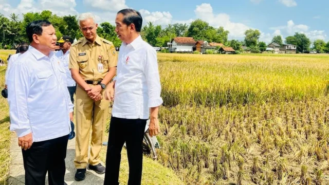 Presiden Prabowo Subianto Hadiri Panen Raya Udang di Kebumen