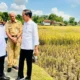 Presiden Prabowo Subianto Hadiri Panen Raya Udang di Kebumen