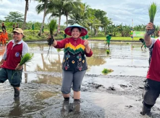 Sawah Rakyat Membangun Kehidupan Petani di Merauke