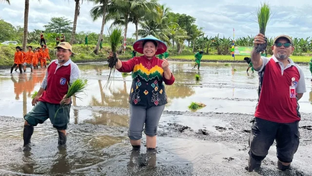 Sawah Rakyat Membangun Kehidupan Petani di Merauke