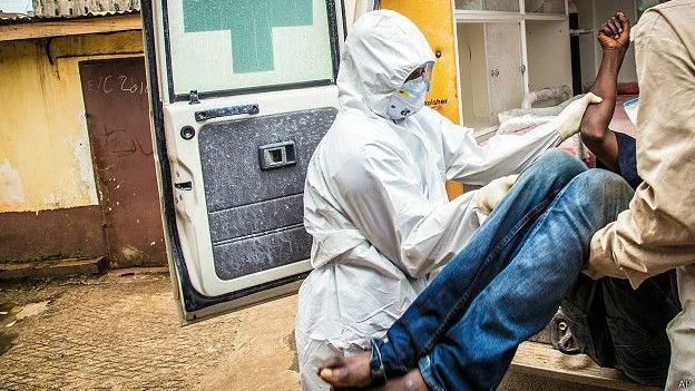 Sidang Kesehatan Dunia ke-79: WHO Bahas Ancaman Ebola dan Hantavirus