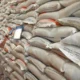Stok Beras Nasional Capai 5,39 Juta Ton, Tertinggi Sejak Kemerdekaan