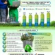 Transisi Ekonomi Hijau Membuka Peluang Jutaan 'Green Jobs' di Indonesia