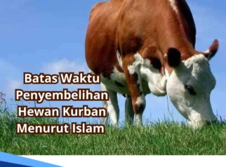 Umat Muslim Perlu Tahu Batas Waktu Penyembelihan Hewan Kurban