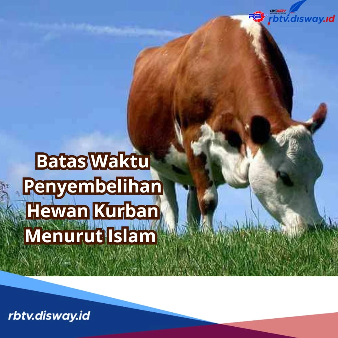 Umat Muslim Perlu Tahu Batas Waktu Penyembelihan Hewan Kurban
