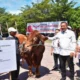 Wabup Terima Sapi Kurban dari Presiden untuk Masyarakat Situbondo