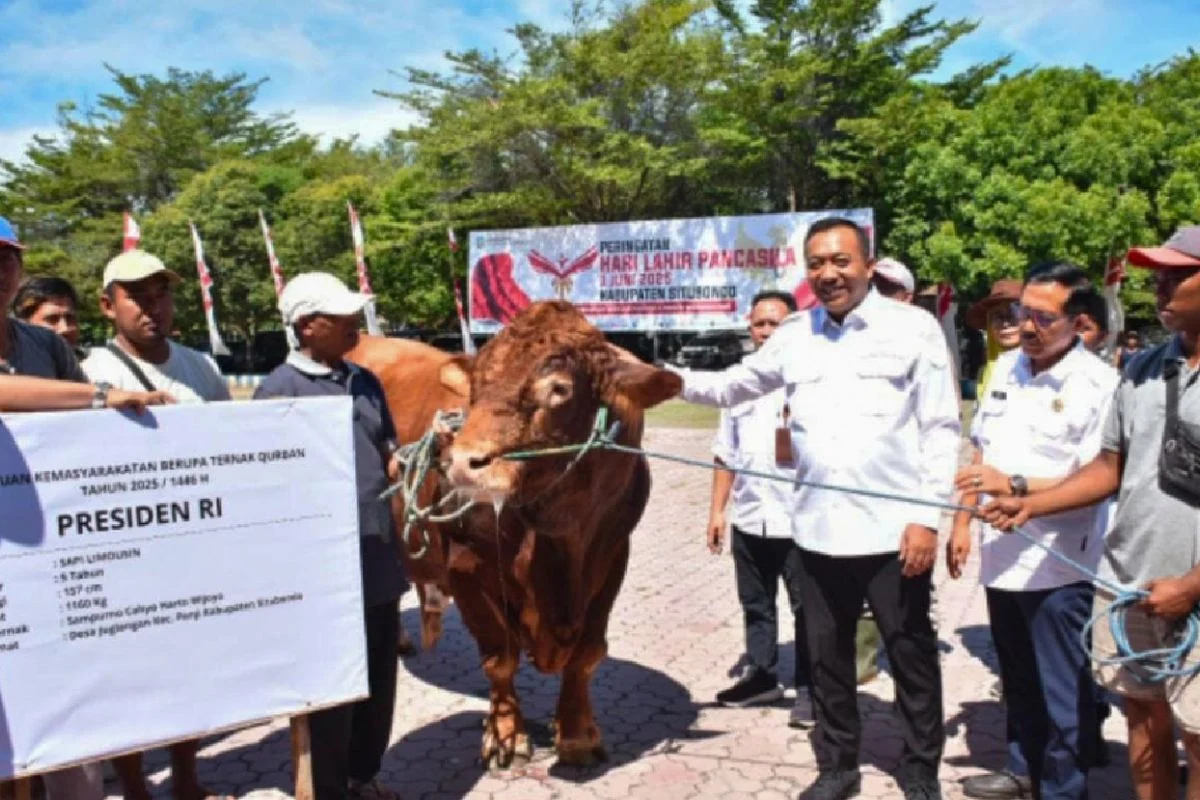 Wabup Terima Sapi Kurban dari Presiden untuk Masyarakat Situbondo