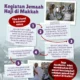 Wamenhaj Tindak Lanjuti Keluhan Jemaah Haji di Makkah untuk Perbaikan Layanan