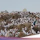 Wukuf di Arafah: Ulama Ingatkan Esensi Haji Mabrur