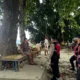 BMKG Imbau Warga Tetap Tenang setelah Gempa M7,7 Picu Peringatan Tsunami di Sulawesi