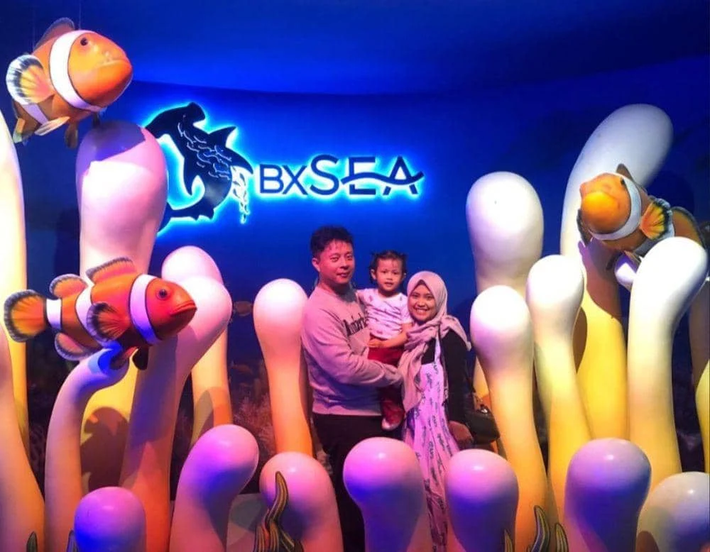 BXSea Bintaro: Model Baru Edukasi Laut dan Konservasi Berkelanjutan di Indonesia