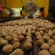 Dolar Naik, Harga Daging Bakso di Indonesia Meningkat Drastis